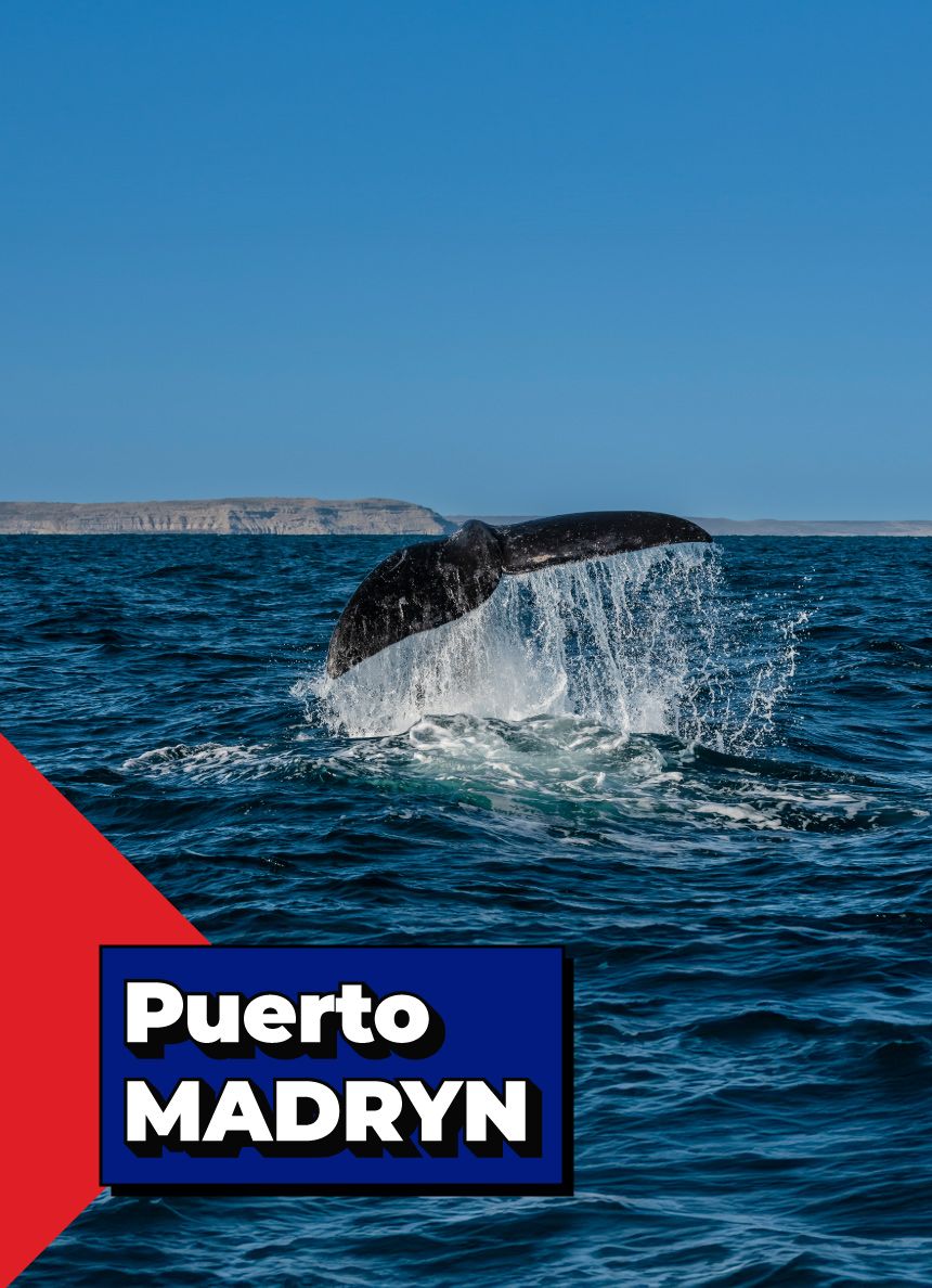 Puerto Madryn